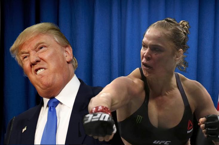 Trump Rousey punch
