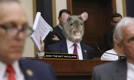 Irony Free Zone: Trump Calls Baltimore “Rat-Infested” and then Nominates John Ratcliffe