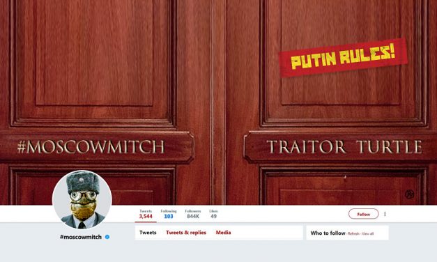 Parody of Mitch McConnell’s Twitter Page Called “Evil” by Elaine Chao