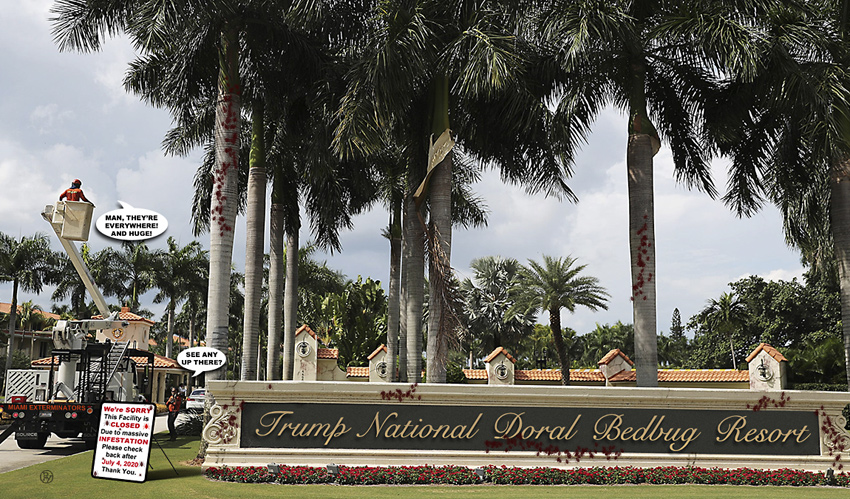 BedBugs, Now Unionized, Refuse to Leave Doral